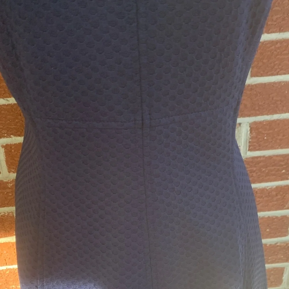 American Living navy dress